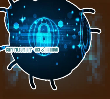 Crypto com security