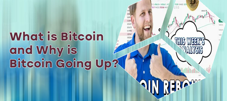 How high can bitcoin go
