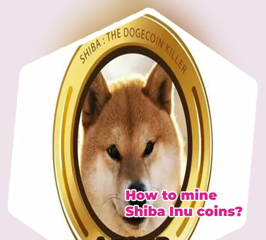Inu coin cryptocurrency